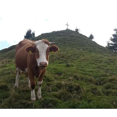 With 2 Bedrooms Nyaraló Aschau im Chiemgau